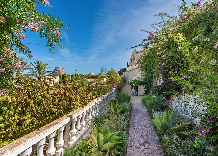 Aloe - Plusholidays カルプ